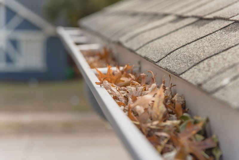 Leaf Protection Installation