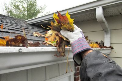 Downspout Leaf Guards