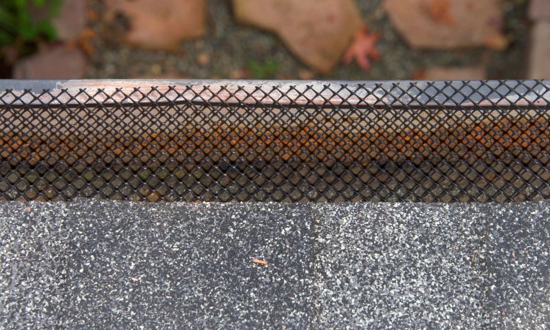Gutter Guard Replacement in Everett, WA