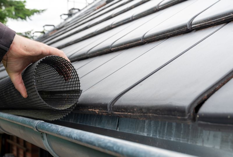 Gutter Mesh Installation in Snohomish County, WA