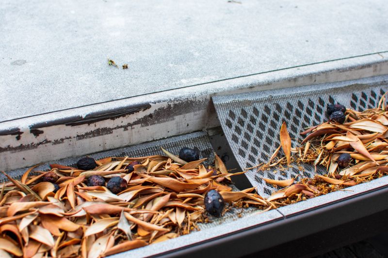 Gutter Mesh Installation in Longmont, CO