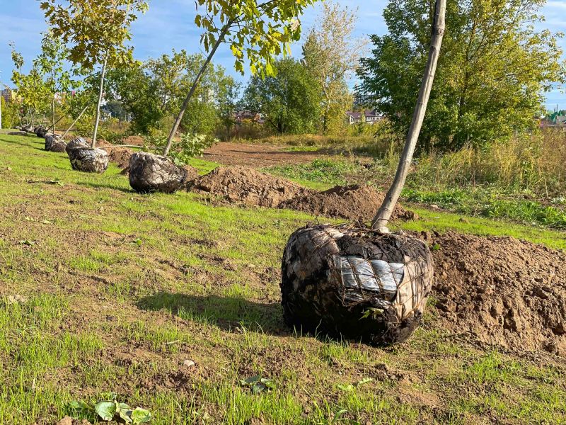 Leaf Protection Installation
