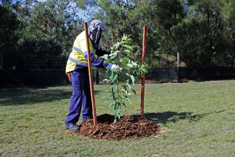 Leaf Protection Installation